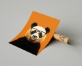 Plakat PANDA W OKULARACH t.jpg