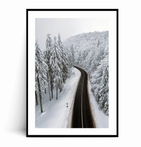 Plakat DROGA PRZEZ ZIMOWY LAS no.1