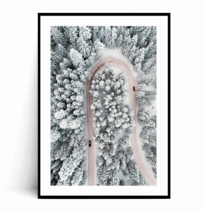 Plakat DROGA PRZEZ ZIMOWY LAS no.2