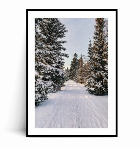 Plakat DROGA PRZEZ ZIMOWY LAS no.3