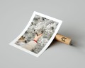 Plakat ZIMOWA GAŁĄZKA Z SZYSZKAMI z marginesem T.jpg
