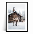 Plakat RENIFER I ZIMOWY DOMEK z marginesem.jpg
