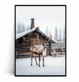 Plakat RENIFER I ZIMOWY DOMEK.jpg