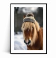 Plakat KOŃ W CZAPCE z marginesem.jpg