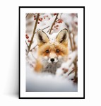 Plakat LISEK W ŚNIEGU 