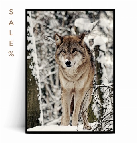 Plakat WILK A4