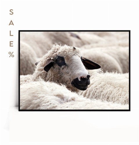Plakat OWCA poziomy 30x40
