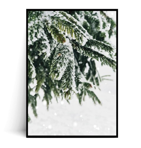 Plakat GAŁĄZKI W ŚNIEGU no.3 40x50