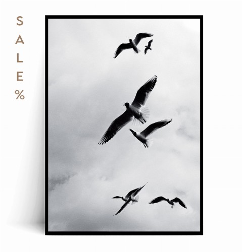 Plakat PTAKI 40x50