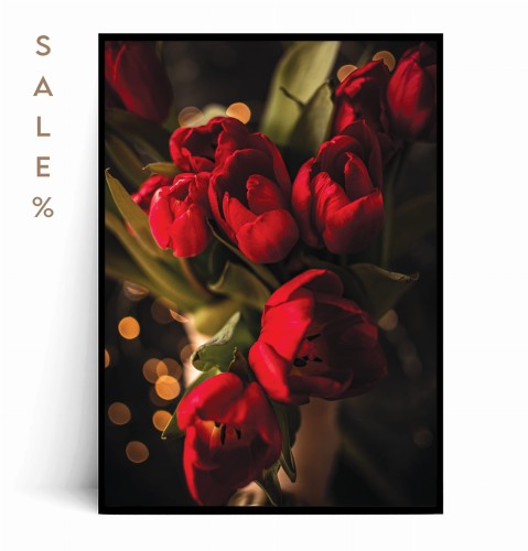 Plakat CZERWONE TULIPANY 50x70