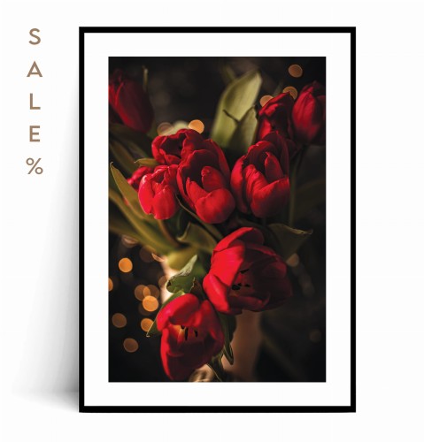 Plakat CZERWONE TULIPANY z marginesem 50x70
