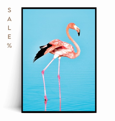 Plakat FLAMING 50x70
