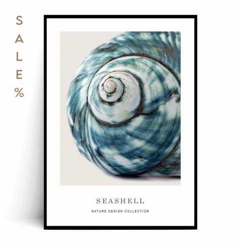 Plakat SEASHELL no.3 50x70