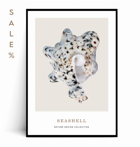Plakat SEASHELL no.4 50x70