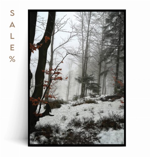 Plakat ZIMA W LESIE 50x70