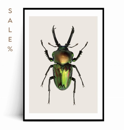 Plakat ŻUK 50x70