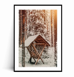 Plakat PAŚNIK W LESIE 