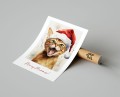Plakat ŚWIATECZNY KOTEK no.2 Merry Meowmas T.jpg