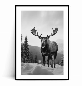 Plakat ZIMOWY ŁOŚ W GÓRACH czarno biały