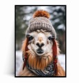 Plakat LAMA W CZAPCE.jpg