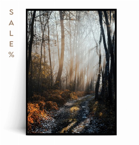 Plakat PROMIENIE SŁOŃCA W LESIE no.1.jpg