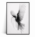Plakat MINIMALISTYCZNY PTAK czarno biały no.1.jpg