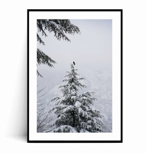 Plakat PTAK NA ZIMOWYM DRZEWIE