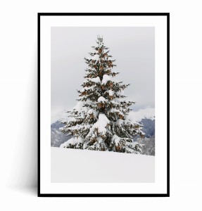 Plakat ZIMOWA CHOINKA Z SZYSZKAMI 