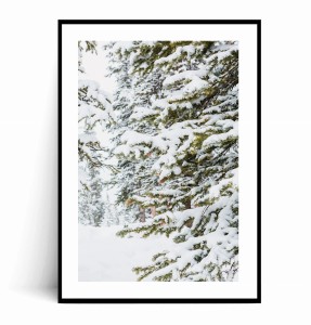Plakat ZIMOWE GAŁĄZKI W ŚNIEGU no.5