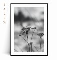 Plakat ZIMOWA ROŚLINKA no.3 30x40 SALE%
