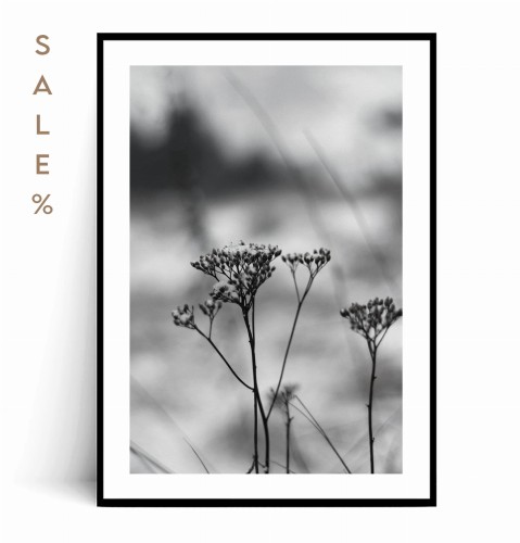 Plakat ZIMOWA ROŚLINKA no.3 30x40 SALE%