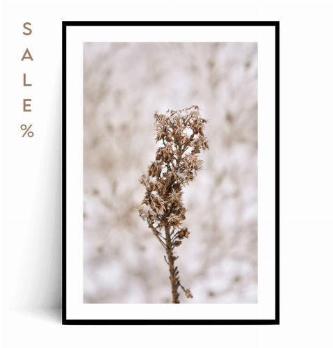 Plakat ZIMOWA ROŚLINKA no.2 30x40 SALE%.jpg
