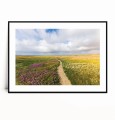 Plakat WIOSENNY PEJZAŻ ZE ŚCIEŻKĄ poziomy z marginesem.jpg