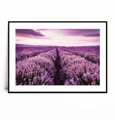 Plakat PEJZAŻ Z LAWENDĄ poziomy z marginesem.jpg
