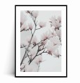Plakat DELIKATNE RÓŻOWE MAGNOLIE z marginesem.jpg