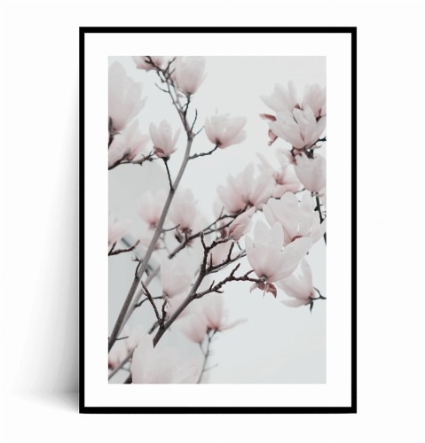 Plakat DELIKATNE RÓŻOWE MAGNOLIE z marginesem.jpg