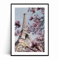 Plakat WIOSENNA WIEŻA EIFFLA no.4 Paryż z marginesem.jpg