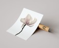 Plakat MINIMALISTYCZNA MAGNOLIA T.jpg