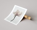 Plakat MINIMALISTYCZNA MAGNOLIA z marginesem T.jpg