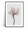 Plakat MINIMALISTYCZNA MAGNOLIA z marginesem.jpg