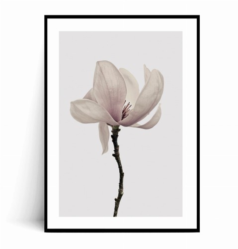 Plakat MINIMALISTYCZNA MAGNOLIA z marginesem.jpg