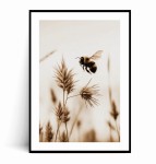Plakat PSZCZOŁA Boho 