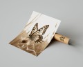 Plakat MOTYL no.1 Boho T.jpg