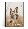 Plakat MOTYL no.1 Boho.jpg