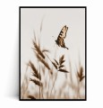 Plakat MOTYL Boho.jpg