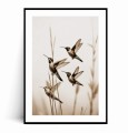 Plakat LECĄCE KOLIBRY no.1 Boho z marginesem.jpg
