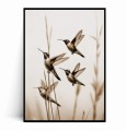 Plakat LECĄCE KOLIBRY no.1 Boho.jpg