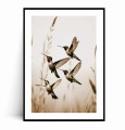 Plakat LECĄCE KOLIBRY Boho z marginesem.jpg
