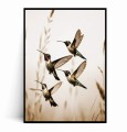Plakat LECĄCE KOLIBRY Boho.jpg