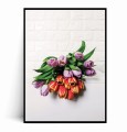 Plakat KOLOROWE TULIPANY.jpg